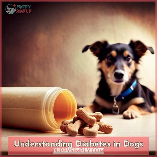 Understanding Diabetes in Dogs