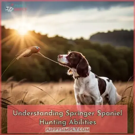 Understanding Springer Spaniel Hunting Abilities