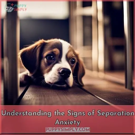 Understanding the Signs of Separation Anxiety