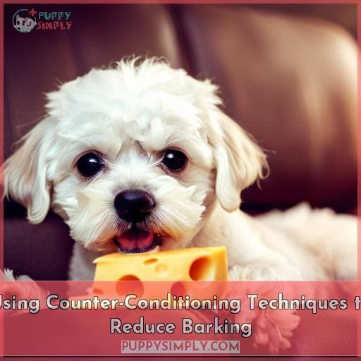 Using Counter-Conditioning Techniques to Reduce Barking