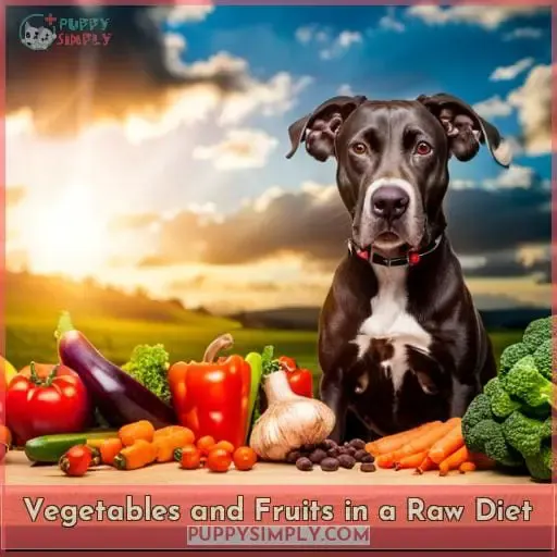 Vegetables and Fruits in a Raw Diet