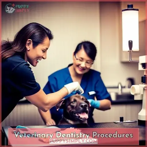 Veterinary Dentistry Procedures