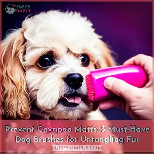 ways to prevent cavapoo fur from matting 3 must have dog brushes that work