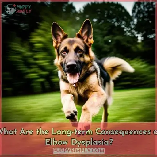 What Are the Long-term Consequences of Elbow Dysplasia
