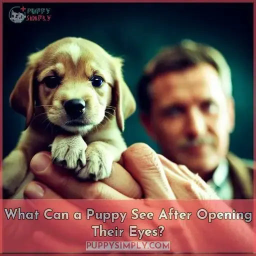 What Can a Puppy See After Opening Their Eyes