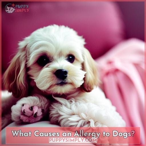 What Causes an Allergy to Dogs