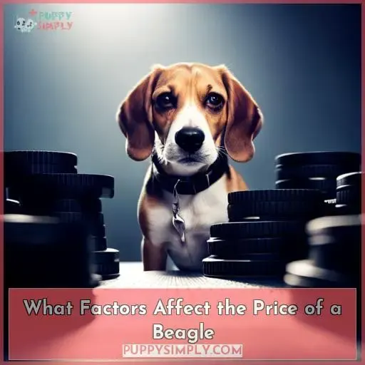 What Factors Affect the Price of a Beagle