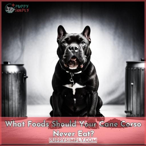 What Foods Should Your Cane Corso Never Eat