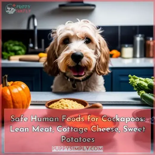 what human foods can a cockapoo eat