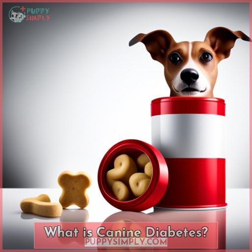 What is Canine Diabetes