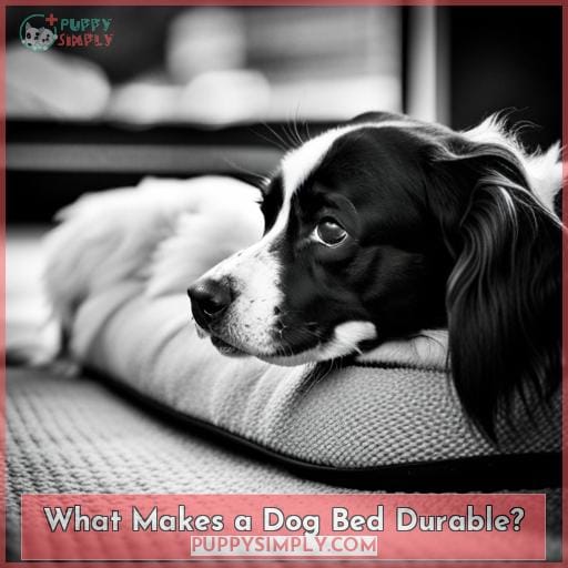 What Makes a Dog Bed Durable