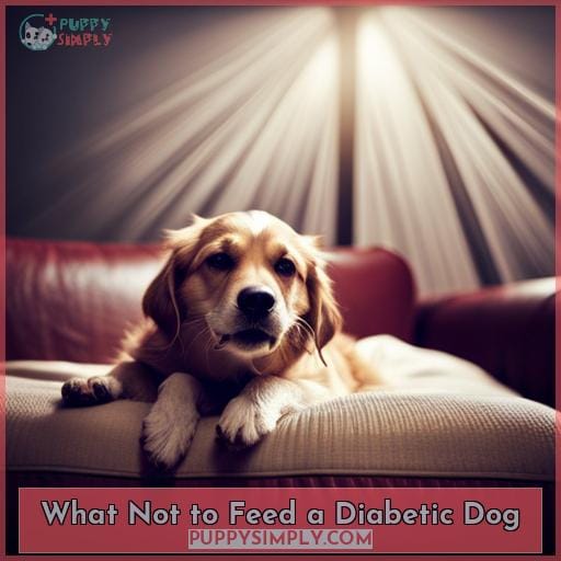 What Not to Feed a Diabetic Dog