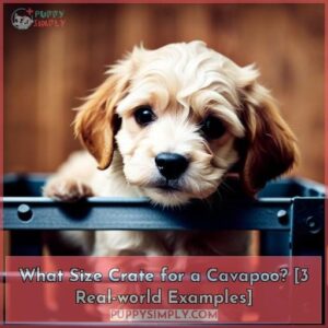 what size crate for a cavapoo with examples