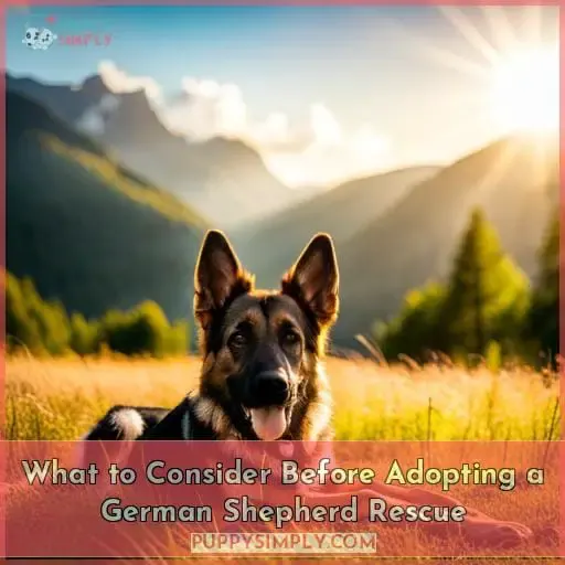 What to Consider Before Adopting a German Shepherd Rescue