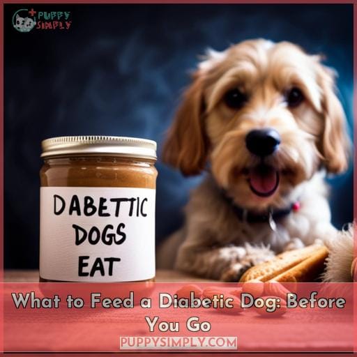 What to Feed a Diabetic Dog: Before You Go