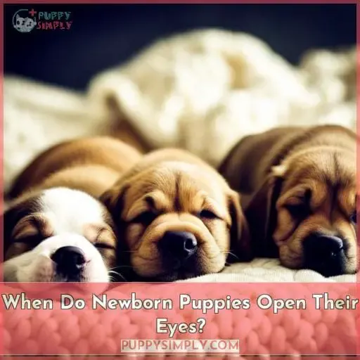 When Do Newborn Puppies Open Their Eyes
