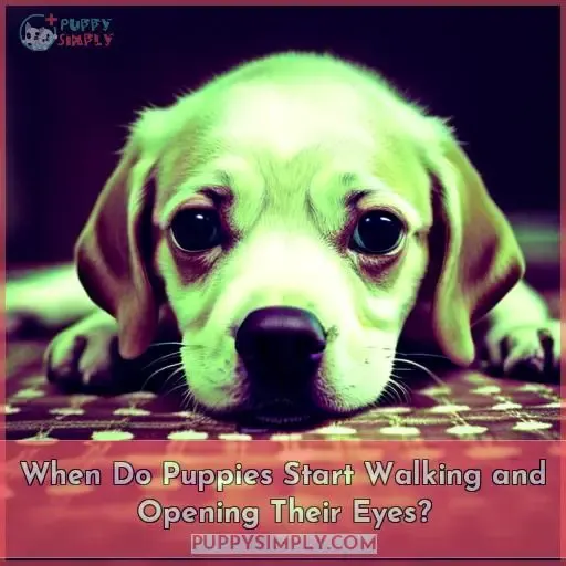 When Do Puppies Start Walking and Opening Their Eyes