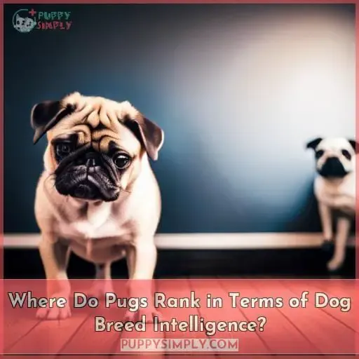 Where Do Pugs Rank in Terms of Dog Breed Intelligence