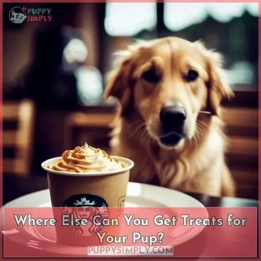 Where Else Can You Get Treats for Your Pup