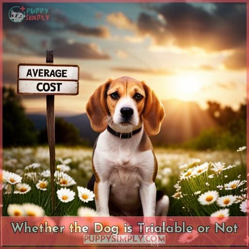 Whether the Dog is Trialable or Not