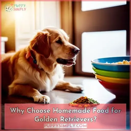 Why Choose Homemade Food for Golden Retrievers