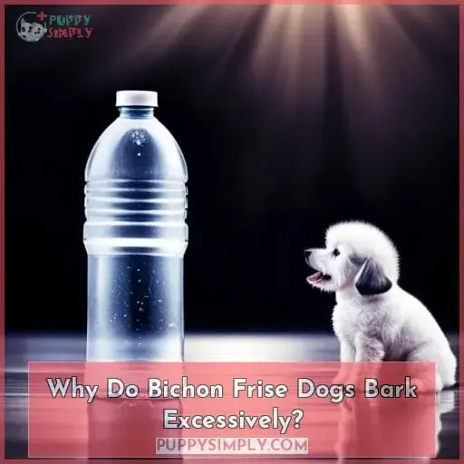 Why Do Bichon Frise Dogs Bark Excessively
