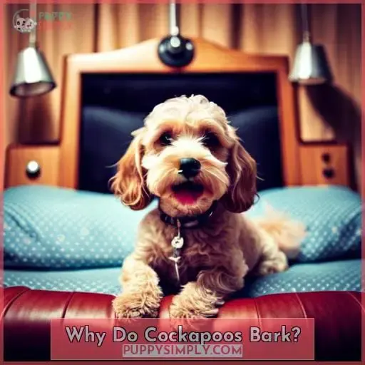 Why Do Cockapoos Bark