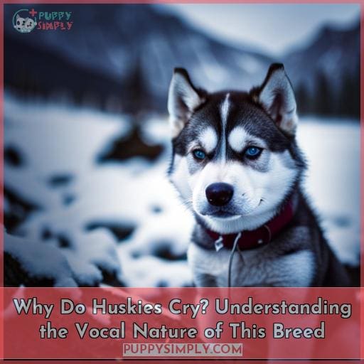 Why Do Huskies Cry? Understanding the Vocal Nature of This Breed