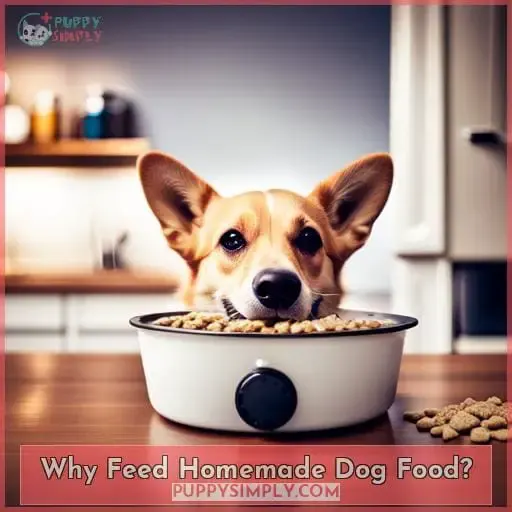 Why Feed Homemade Dog Food