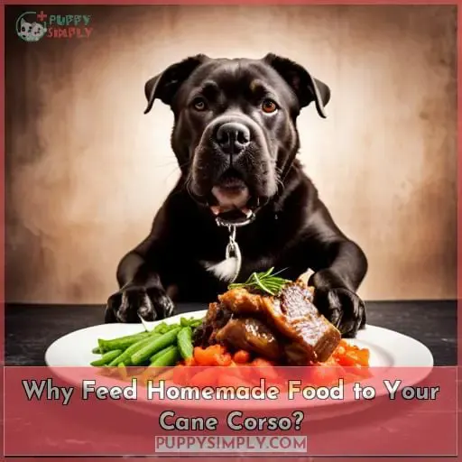 Why Feed Homemade Food to Your Cane Corso