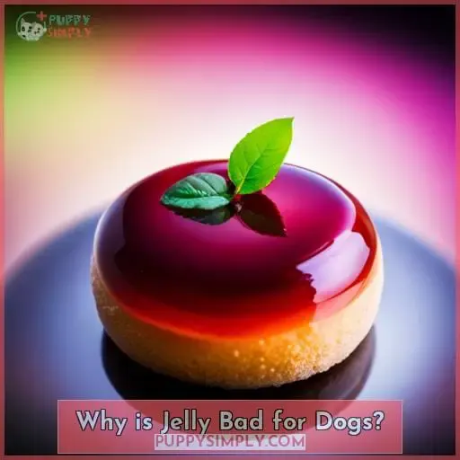 Why is Jelly Bad for Dogs