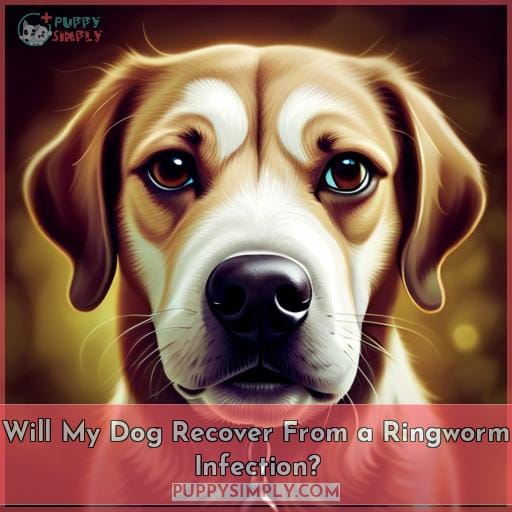 Will My Dog Recover From a Ringworm Infection