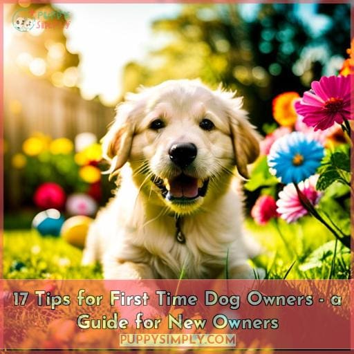 17 Tips for First Time Dog Owners - A Guide for New Owners