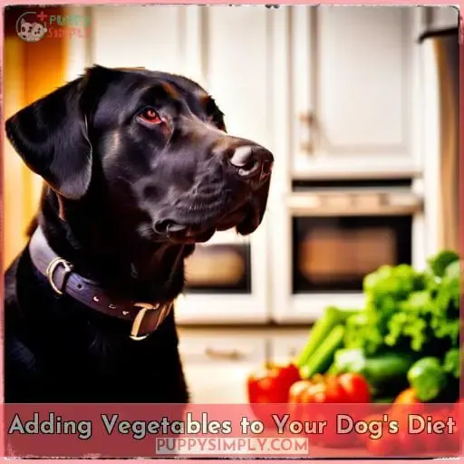Adding Vegetables to Your Dog