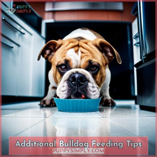 Additional Bulldog Feeding Tips
