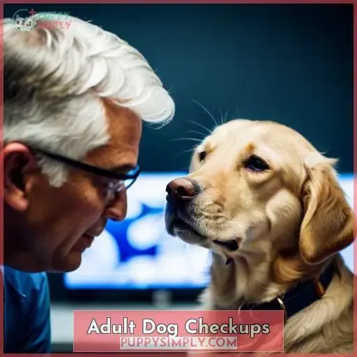 Adult Dog Checkups