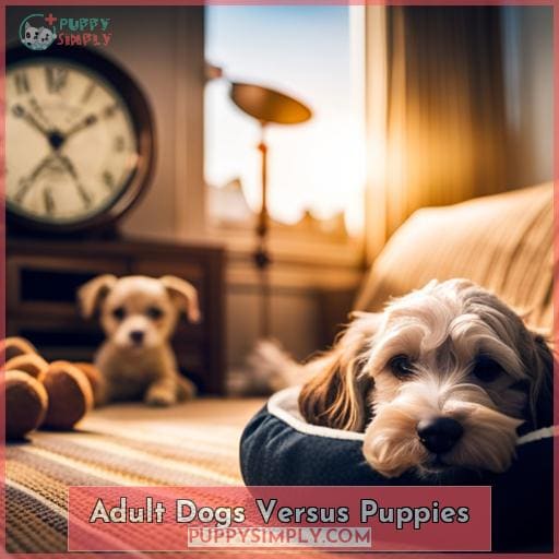 Adult Dogs Versus Puppies
