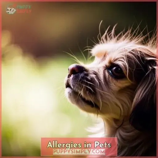 Allergies in Pets