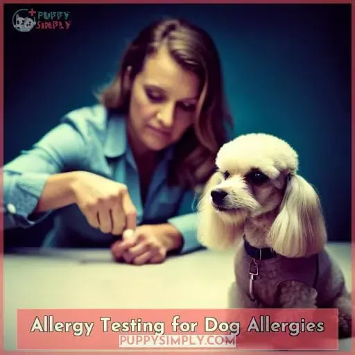 Allergy Testing for Dog Allergies