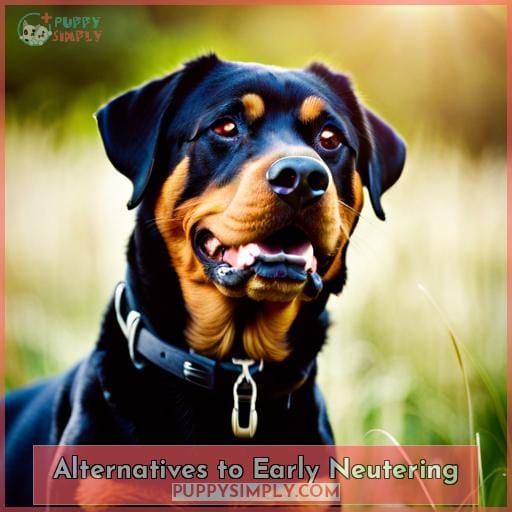 Alternatives to Early Neutering