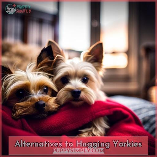 Alternatives to Hugging Yorkies