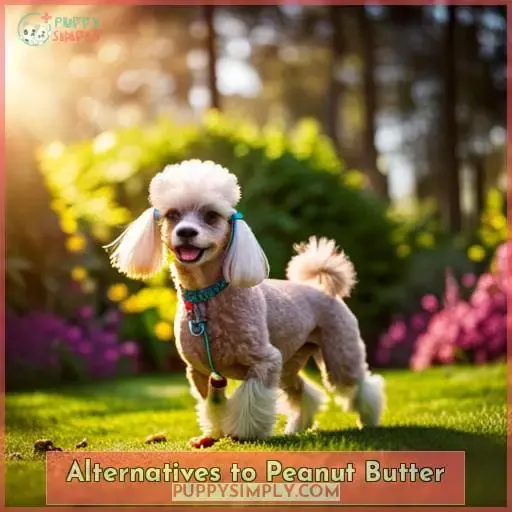 Alternatives to Peanut Butter