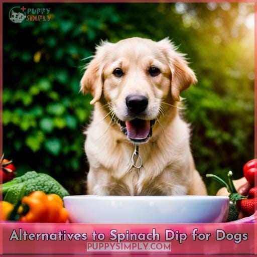 Alternatives to Spinach Dip for Dogs