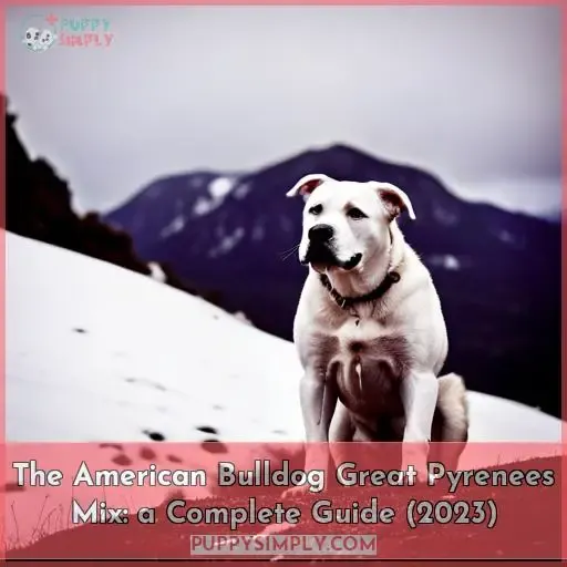 american bulldog great pyrenees mix