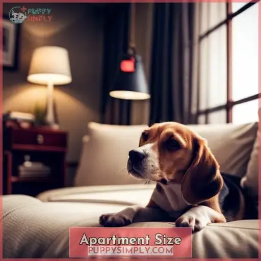 Apartment Size