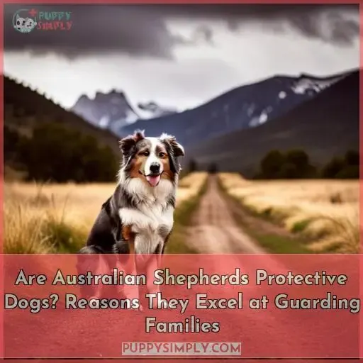 are australian shepherds good guard dogs