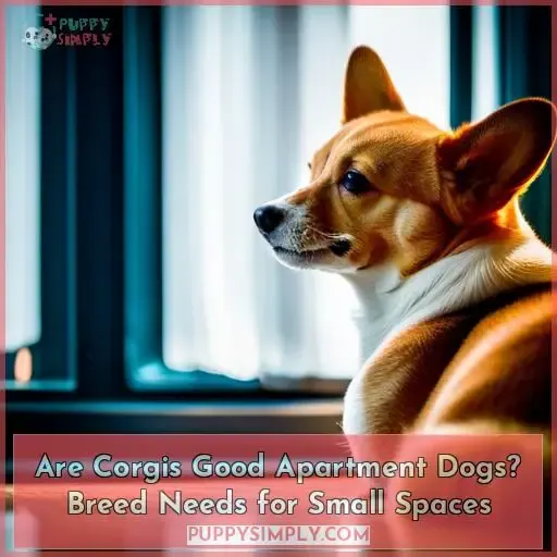 are corgis good apartment dogs