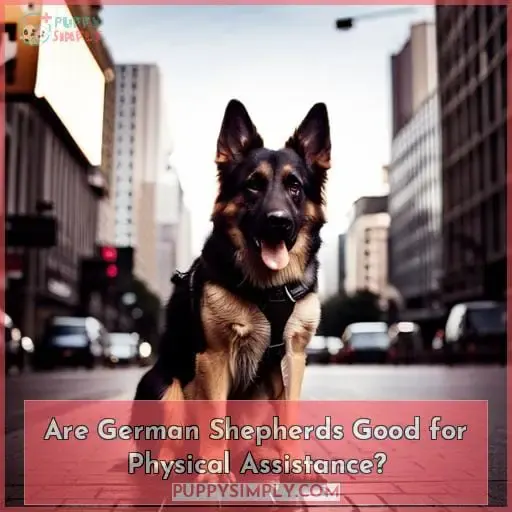 Are German Shepherds Good for Physical Assistance