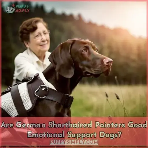 Are German Shorthaired Pointers Good Emotional Support Dogs