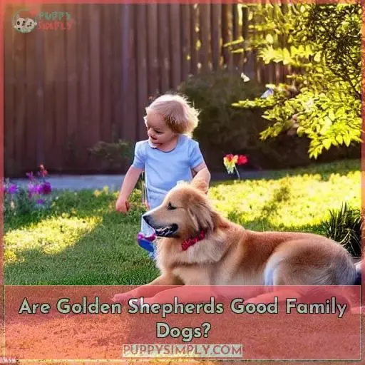 Are Golden Shepherds Good Family Dogs